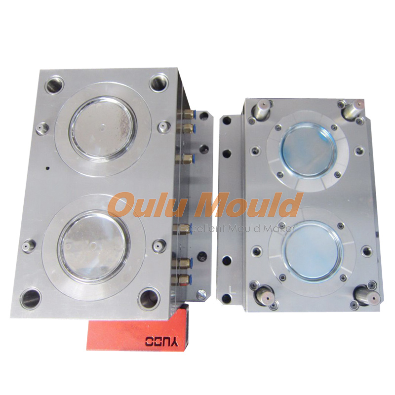 thin wall mould 04