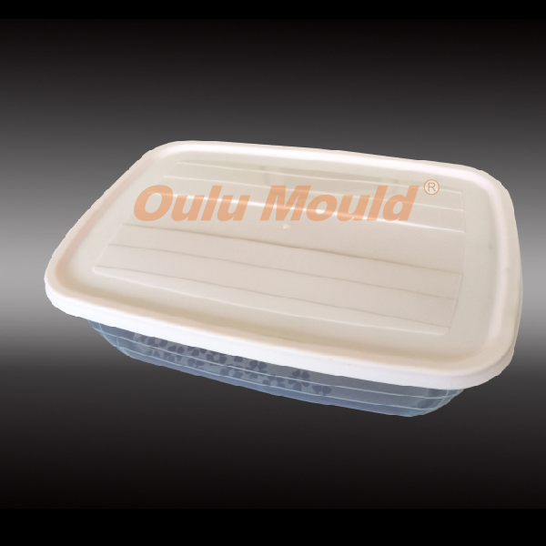 thin wall mould 22